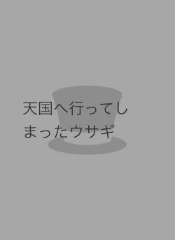 天国へ行ってしまったウサギ