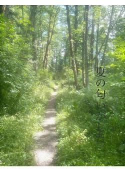 夏の匂いがした。