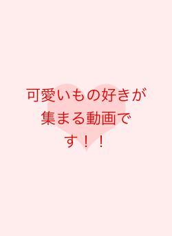 可愛いもの好きが集まる動画です!!