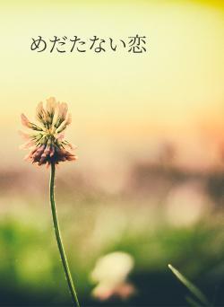 めだたない恋