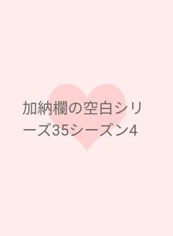 加納欄の空白シリーズ35シーズン4