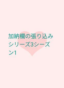 加納欄の張り込み シリーズ3シーズン1