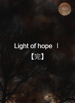 Light of hope Ⅰ【完】