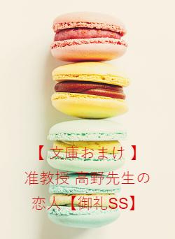 【 文庫おまけ 】准教授 高野先生の恋人【御礼SS】
