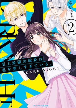 至上最強の総長は私を愛しすぎている。②~DARK NIGHT~