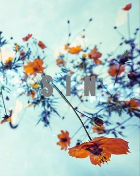 SIN (LOVE and DAYS・番外編②)
