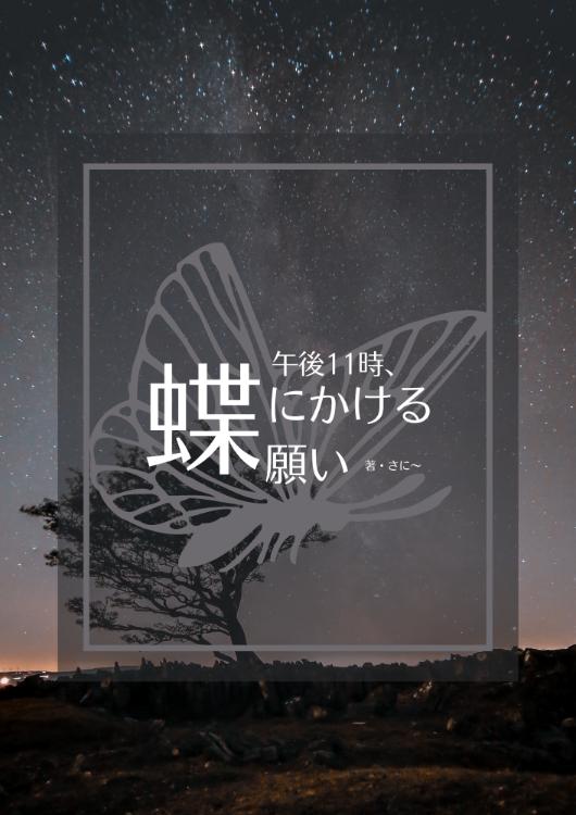 午後11時、蝶にかける願い