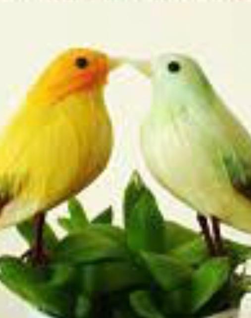 朝倉仁の悩ましい問題