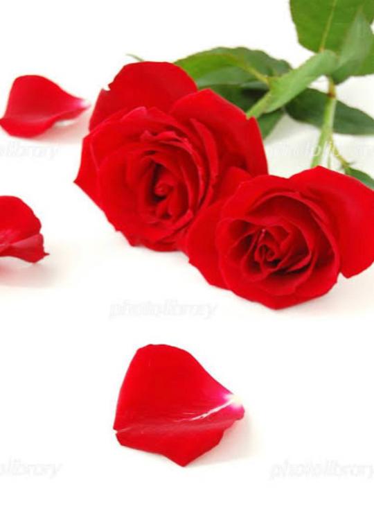 いざ、敵陣へ！