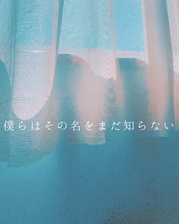 僕らはその名をまだ知らない