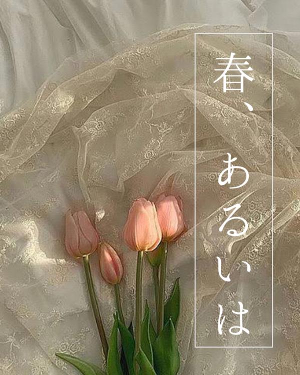 春、あるいは