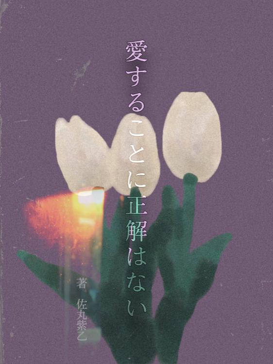 愛することに正解はない【完】