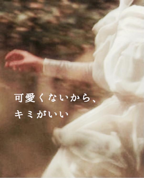可愛くないから、キミがいい【完】