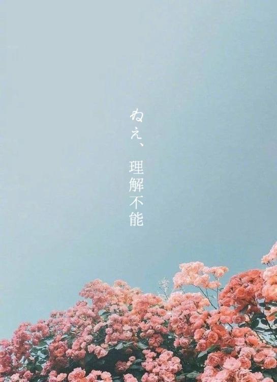 ねえ、理解不能【完】