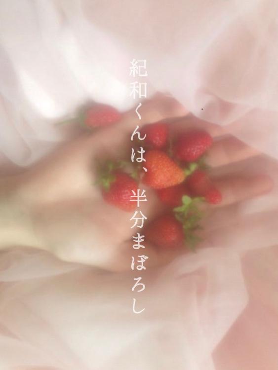 紀和くんは、半分まぼろし