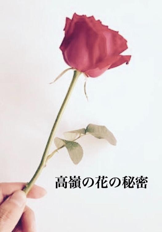 高嶺の花の秘密