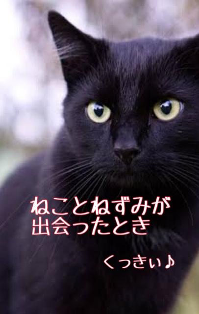 ねことねずみが出会ったとき【佳作】