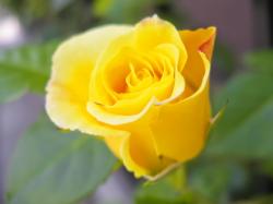 変われない男～after　20years～