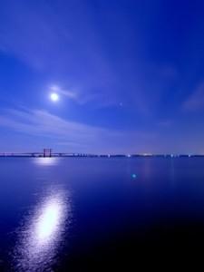 アローン・アゲイン