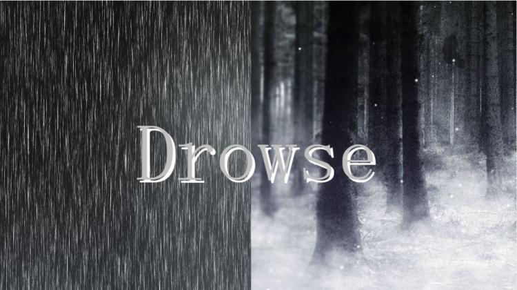 Drowse