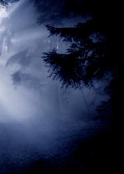 ［短編］メンヘラになりたかった私