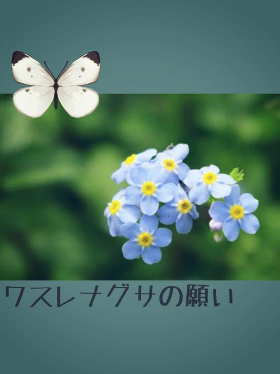 ［短編］ワスレナグサの願い