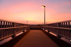 君を知らないわたしと、わたしを知っている君。