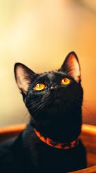 ＢadをＨappyに！？〜おとぎ話の世界に閉じ込められちゃった〜