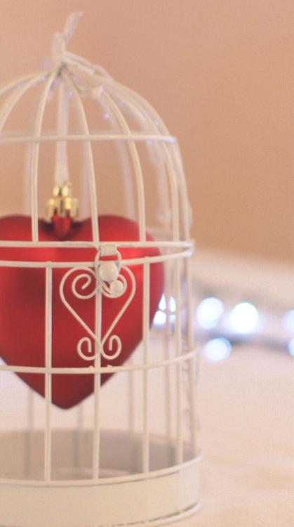 幸せの花束をもらった日に、あなたに愛してるを〜箱庭の少女と舞台俳優〜