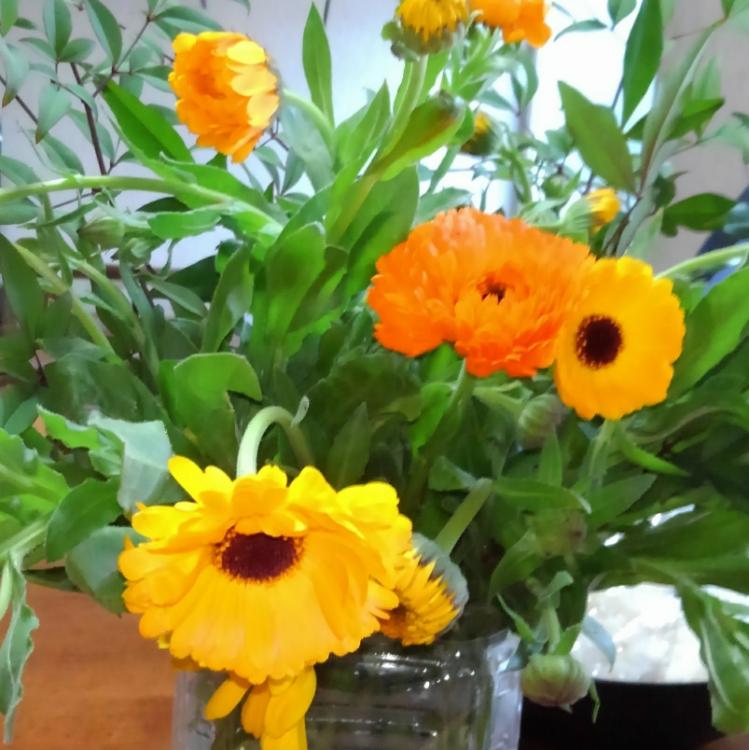 オレンジ色のROMANCE