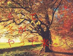 そして、冬がやって来る。