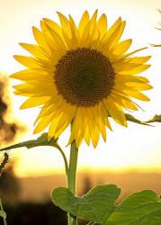 この度、晴れて母子家庭になりまして