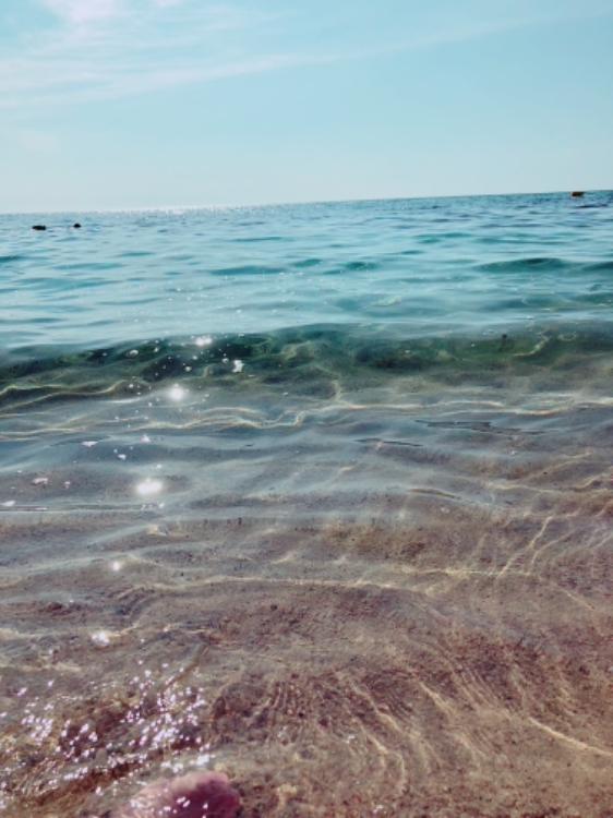 君に逢える日まで