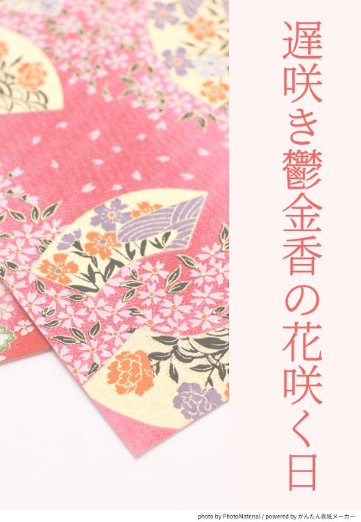 遅咲き鬱金香(チューリップ)の花咲く日