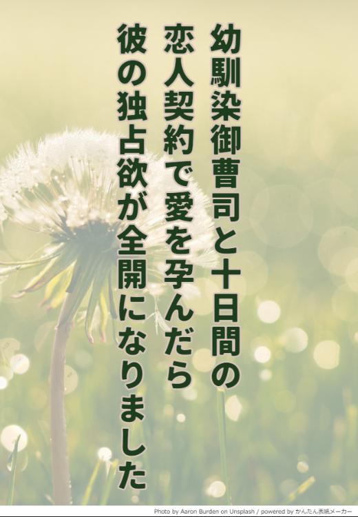 幼馴染御曹司と十日間の恋人契約で愛を孕んだら彼の独占欲が全開になりました
