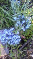 宿命～ﾌｪｲﾄ～