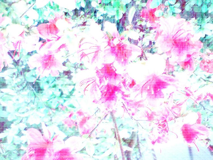 花束に、気持ちを込めて。