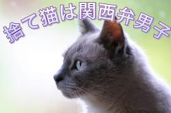 捨て猫は関西弁男子