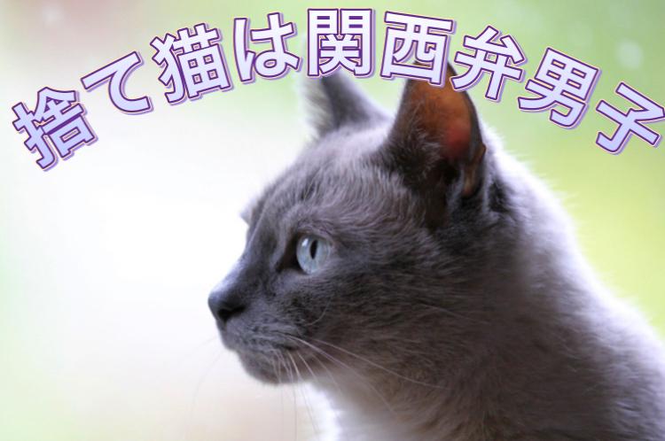 捨て猫は関西弁男子