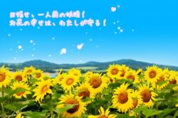 目指せ、一人前の妖精！お花の幸せは、わたしが守る！