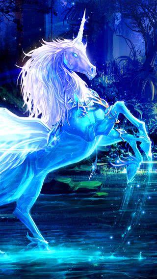 遙かなる時空の中で２