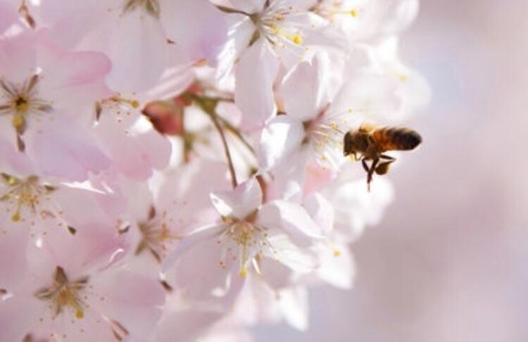 君の世界の片隅で