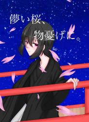 儚い桜、物憂げに。