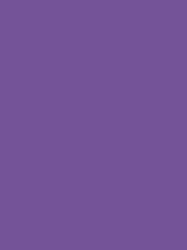 冷めた病室とあなたがいた時間