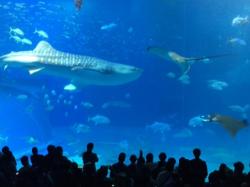 過ぎる景色を共に