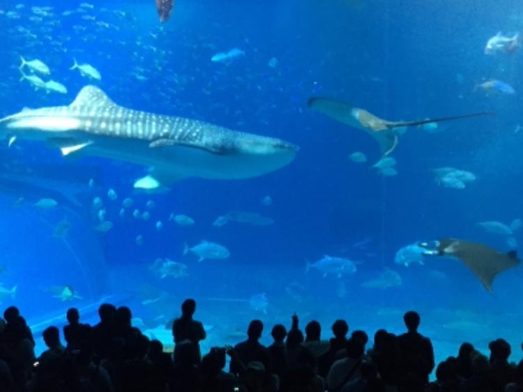 過ぎる景色を共に