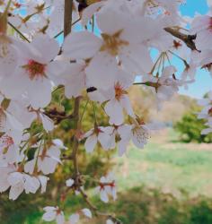 きっとずっと、好きだった