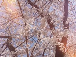 僕には君が分からない