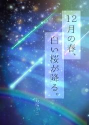 12月の春、白い桜が降る。