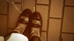 いつかみた夢のつづきを